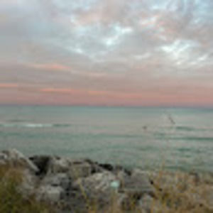 Meet your Posher, Ryleigh